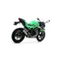 Arrow Pro-Race kipufogó (Nichrom - Kawasaki Ninja/Z 125 - 2019-2020)